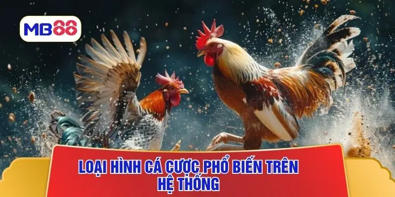 Loại hình cá cược phổ biến trên hệ thống